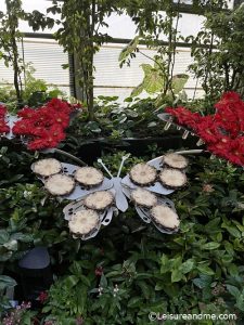 Butterfly Garden At Changi Airport Singapore Leisure And Me