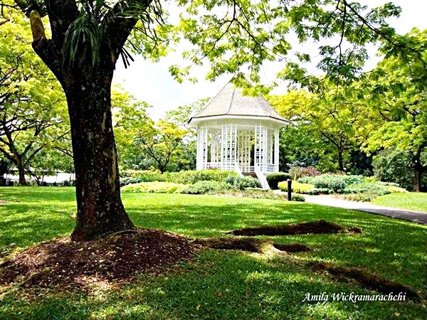 Bandstand-Singapore Botanic Gardens