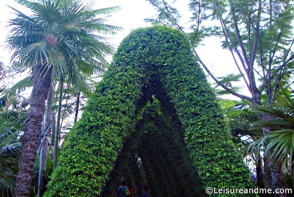 Children's Garden at Gardens By The Bay