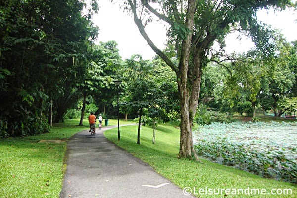 Ang Mo Kio Town Garden