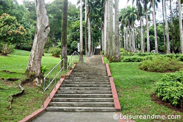 Ang Mo Kio Town Garden West -Entrance