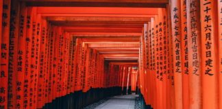 Places to Visit in Japan
