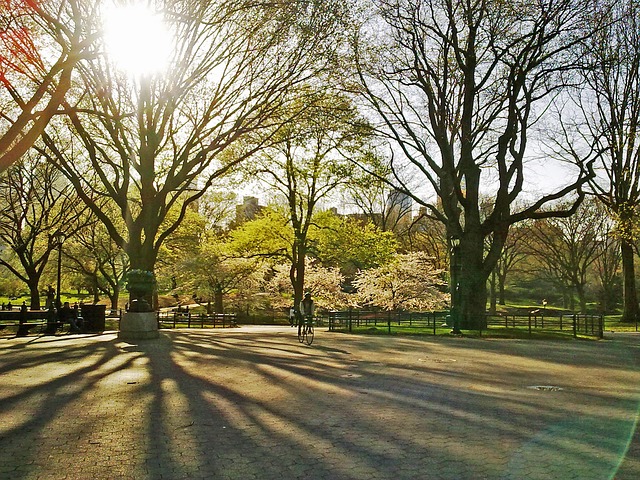 Central Park New York city