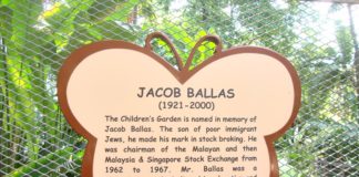 Jacob Ballas Children's Garden in Singapore Botanic Gardens