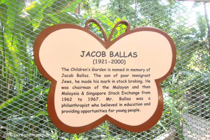 Jacob Ballas Children's Garden in Singapore Botanic Gardens