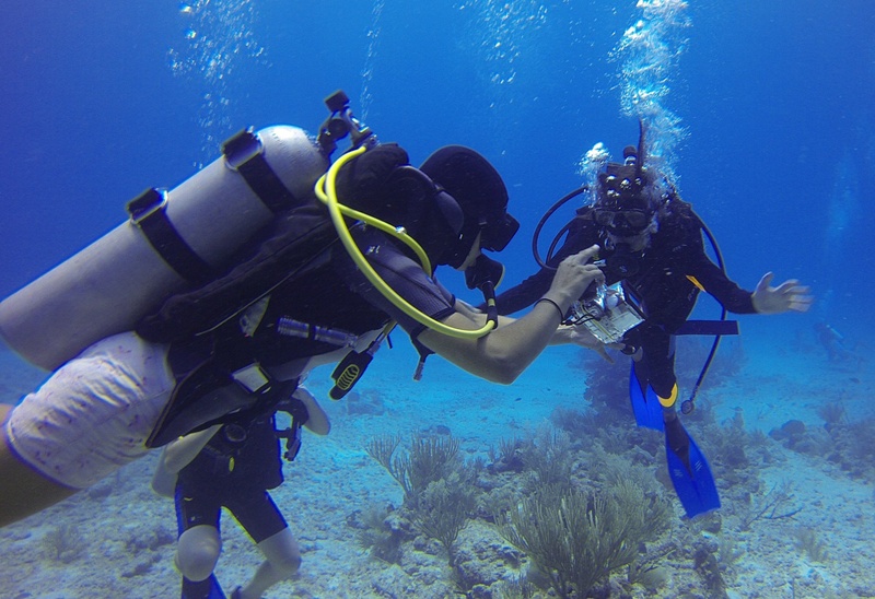 Choosing Scuba Diving Gear