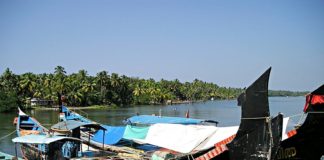Amazing things that you must not miss in Kerala