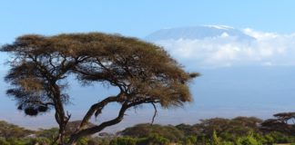 Must Know Tips for a successful Climb of Mt Kilimanjaro