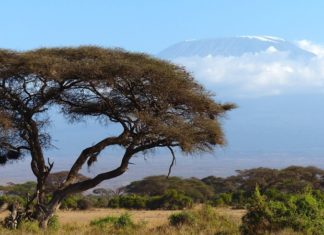 Must Know Tips for a successful Climb of Mt Kilimanjaro
