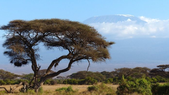 Must Know Tips for a successful Climb of Mt Kilimanjaro