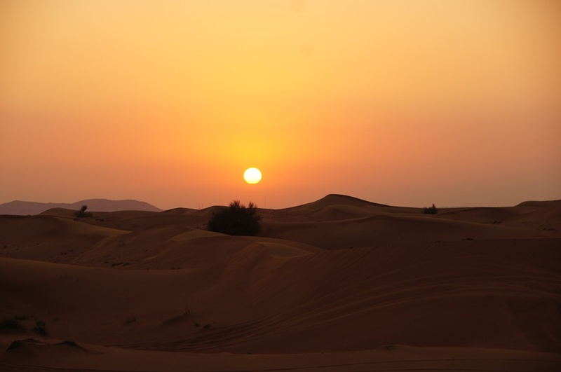 Desert safari in Dubai 