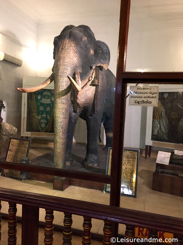 Raja Museum-Kandy-Sri-Lanka