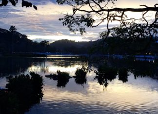 Kandy Lake - Sri Lanka