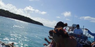 unique experience exploring Bahamas