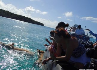 unique experience exploring Bahamas