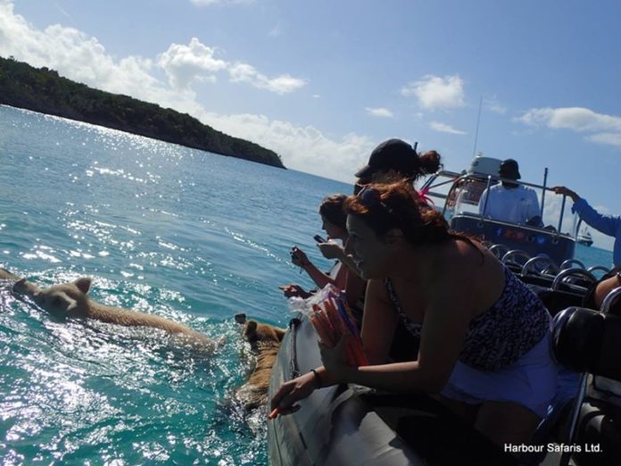 unique experience exploring Bahamas