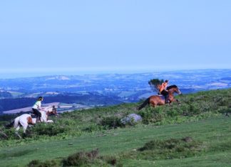 Top Horse Riding Holidays