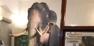 Raja Museum - Kandy , Sri Lanka