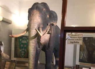 Raja Museum - Kandy , Sri Lanka