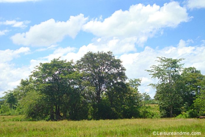 Dambana-Sri Lanka