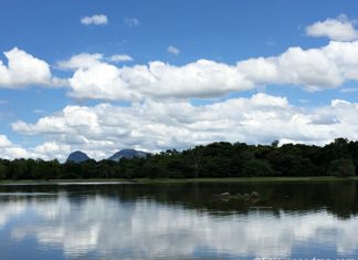 Lake-Dambana-Sri-Lanka