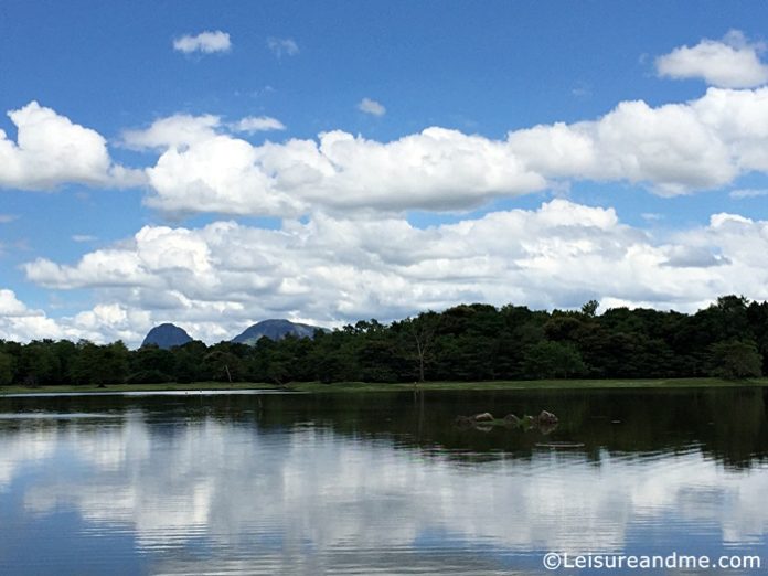 Lake-Dambana-Sri-Lanka