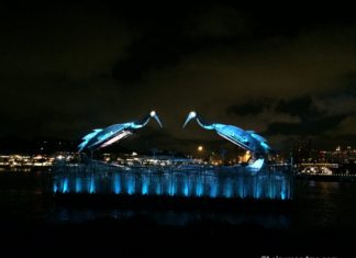 Crane Dance at Sentosa, Singapore