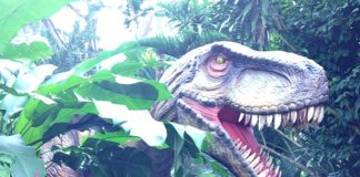 Dinosaurs at the Zoo-rassic Park Singapore
