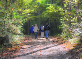 Best Parks and Monuments for RVers to Visit in South Carolina