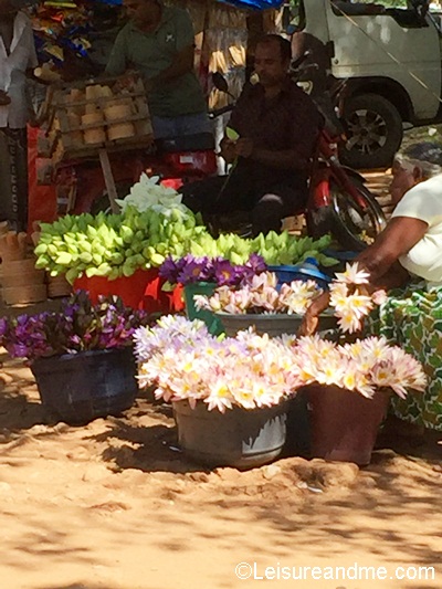 A Pilgrimage to Anuradhapura- Sri Lanka