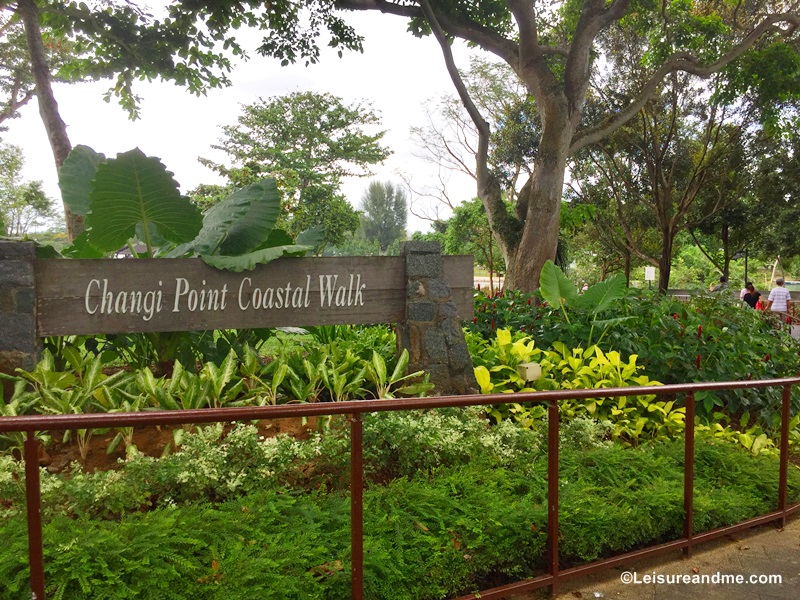 A Day at Changi Beach Park : Singapore