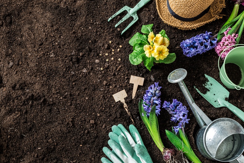 Bring Nature to You with These Garden Ideas