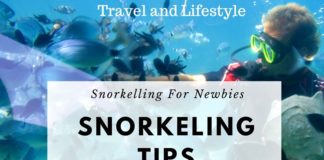 Important Snorkeling Tips For Newbies