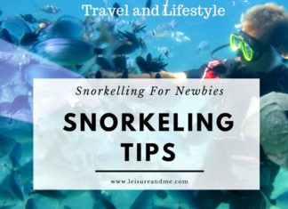 Important Snorkeling Tips For Newbies