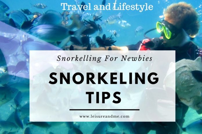 Important Snorkeling Tips For Newbies