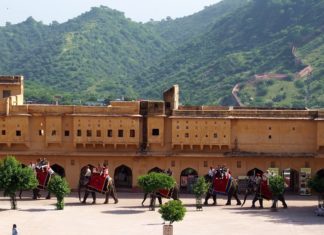 Wander Around in Jaipur