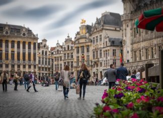 Brussels : The Flemish Capital