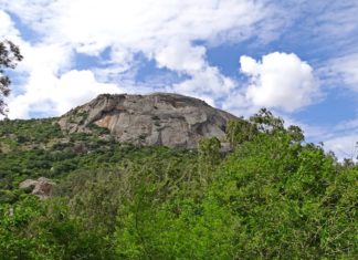 Nandi Hills