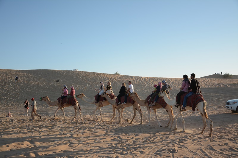 Desert Adventure in Dubai 