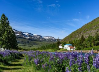 Best time to Visit Iceland