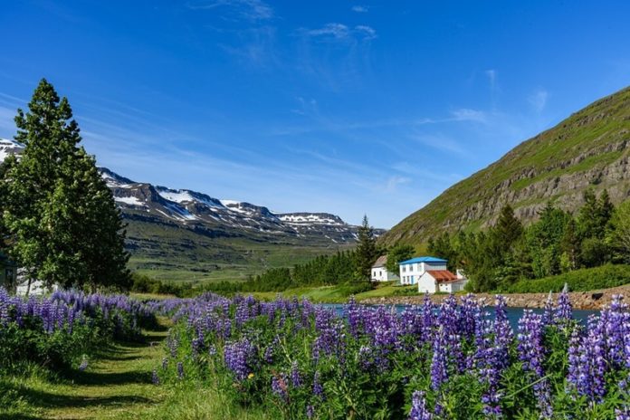 Best time to Visit Iceland