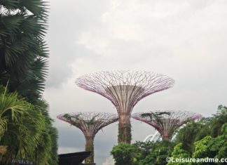 When to Visit Gardens in Singapore