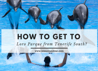 How to get to Loro Parque from Tenerife South