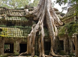 Cambodia's Route 66