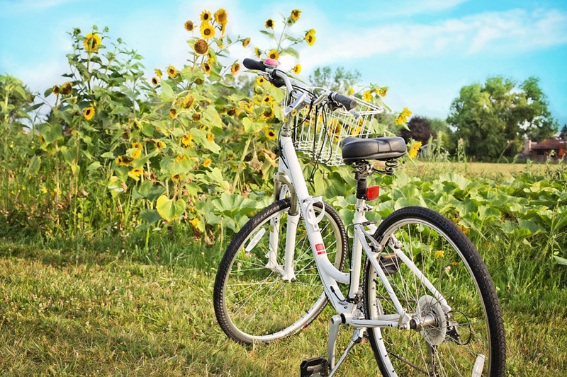 Safe While Biking 