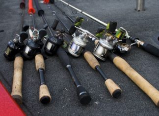 Fishing Tackle and Gear for Beginners