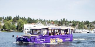 Ducks of Seattle Boat Tours