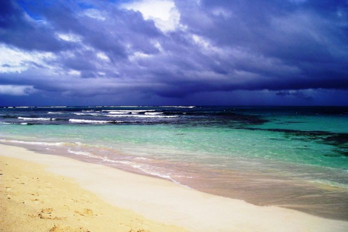 Magical Mosquito Bay Tour