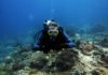 Choosing Scuba Diving Gear