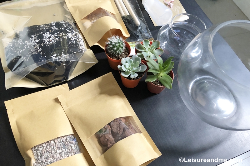 DIY terrarium kit from Masons Home Décor